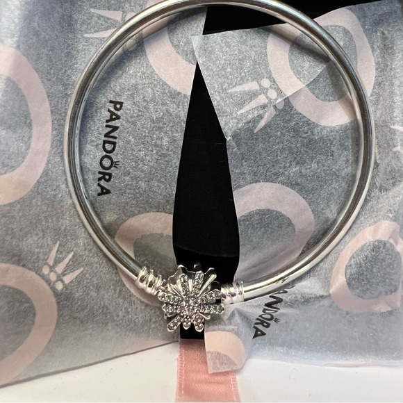 Pandora Limited Edition Fireworks Bangle - Picture 3 of 8
